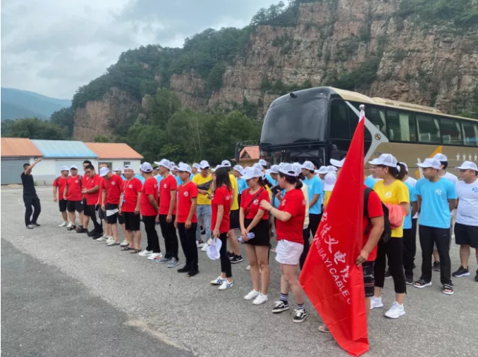 东北91香蕉视频免费下载