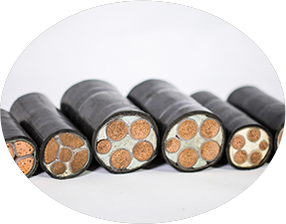 东北91香蕉视频免费下载 东北91香蕉视频免费下载