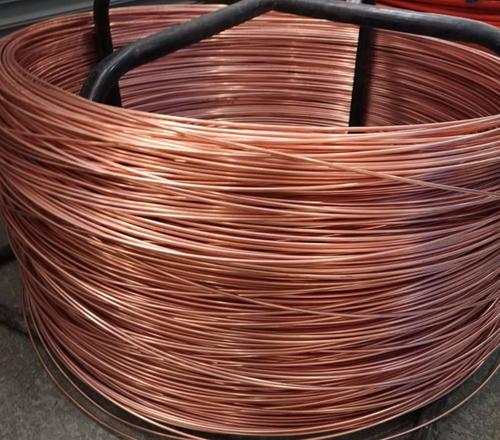 绝缘91香蕉视频免费下载 绝缘91香蕉视频免费下载